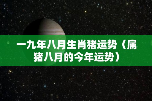 一九年八月生肖猪运势（属猪八月的今年运势）