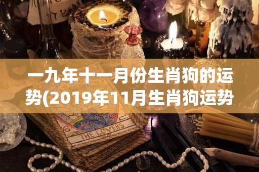 一九年十一月份生肖狗的运势(2019年11月生肖狗运势大揭秘！)