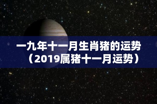 一九年十一月生肖猪的运势（2019属猪十一月运势）