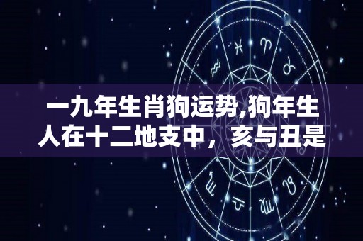 一九年生肖狗运势,狗年生人在十二地支中，亥与丑是相克的关系