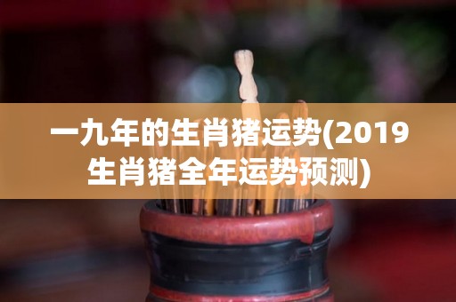 一九年的生肖猪运势(2019生肖猪全年运势预测)