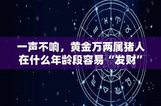 一声不响，黄金万两属猪人在什么年龄段容易“发财”（属猪的哪年是金猪年）