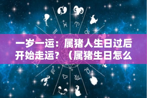 一岁一运：属猪人生日过后开始走运？（属猪生日怎么发朋友圈）