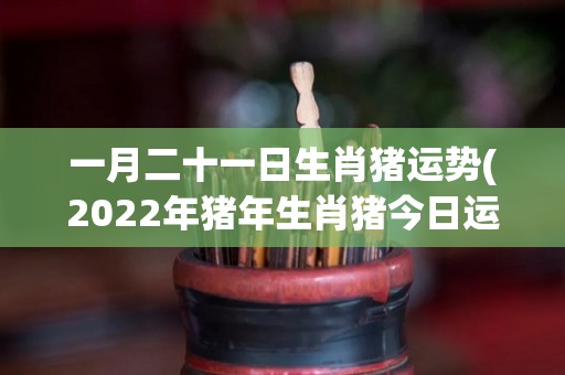 一月二十一日生肖猪运势(2022年猪年生肖猪今日运势)