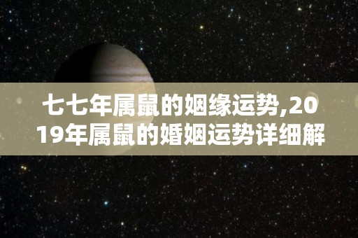 七七年属鼠的姻缘运势,2019年属鼠的婚姻运势详细解析
