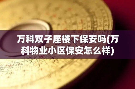 万科双子座楼下保安吗(万科物业小区保安怎么样)