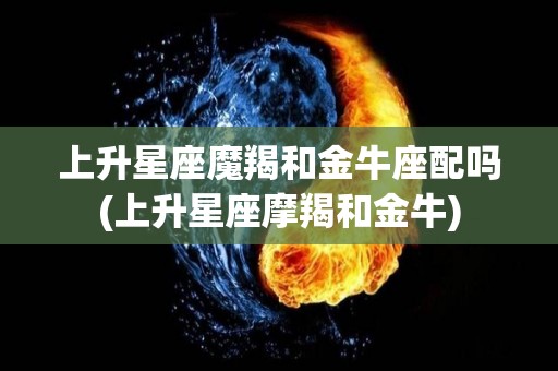 上升星座魔羯和金牛座配吗(上升星座摩羯和金牛)