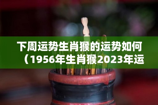 下周运势生肖猴的运势如何（1956年生肖猴2023年运势及每月运势）