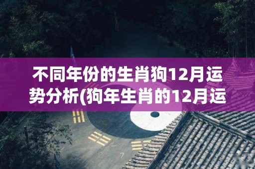 不同年份的生肖狗12月运势分析(狗年生肖的12月运势大揭晓)