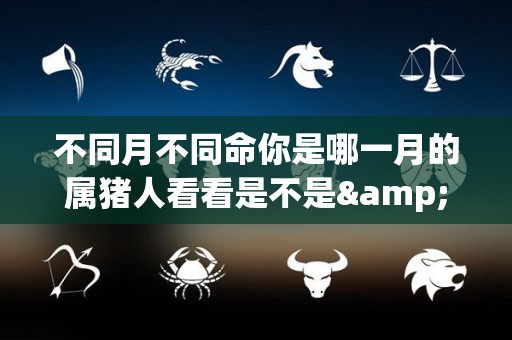 不同月不同命你是哪一月的属猪人看看是不是"发财猪"的简单介绍