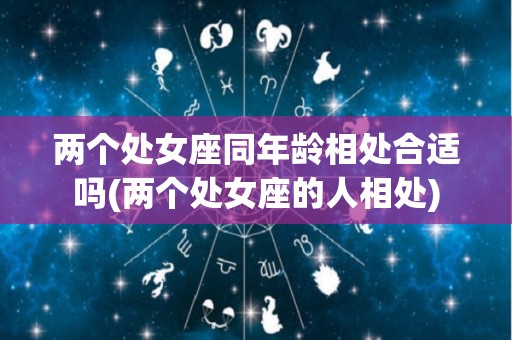 两个处女座同年龄相处合适吗(两个处女座的人相处)