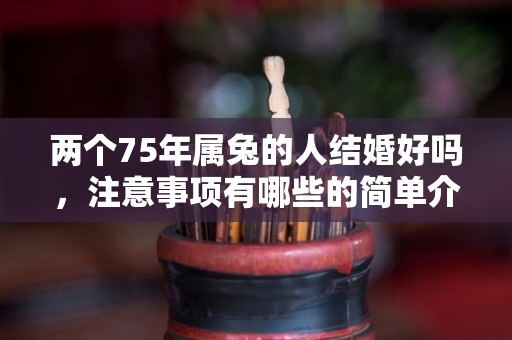 两个75年属兔的人结婚好吗，注意事项有哪些的简单介绍