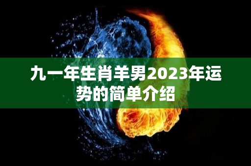 九一年生肖羊男2023年运势的简单介绍