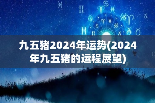 九五猪2024年运势(2024年九五猪的运程展望)