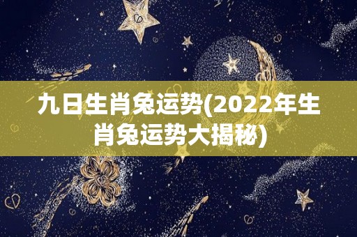 九日生肖兔运势(2022年生肖兔运势大揭秘)