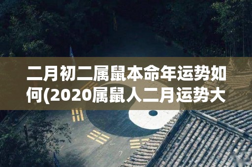 二月初二属鼠本命年运势如何(2020属鼠人二月运势大揭秘！)