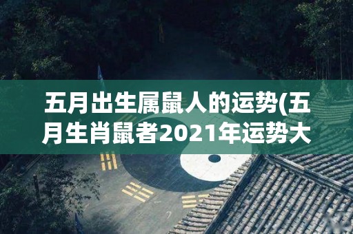 五月出生属鼠人的运势(五月生肖鼠者2021年运势大揭秘！)