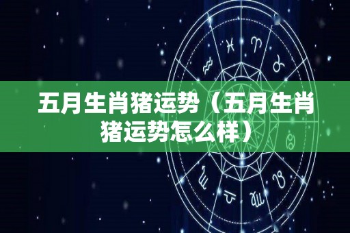 五月生肖猪运势（五月生肖猪运势怎么样）