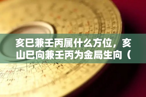 亥巳兼壬丙属什么方位，亥山巳向兼壬丙为金局生向（亥山巳兼壬丙五行什么局）