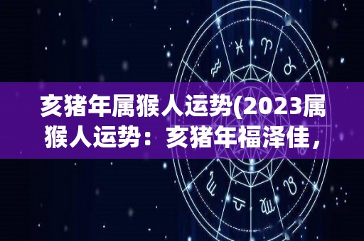 亥猪年属猴人运势(2023属猴人运势：亥猪年福泽佳，财运旺盛，成功运上扬)