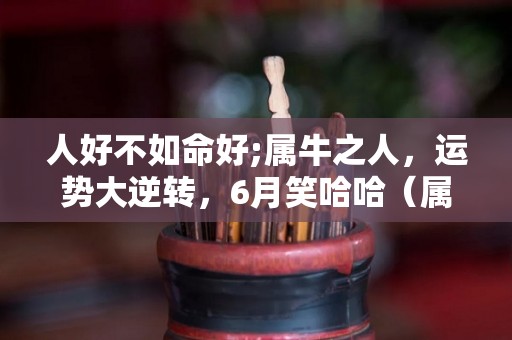 人好不如命好;属牛之人，运势大逆转，6月笑哈哈（属牛人的命运好不好）