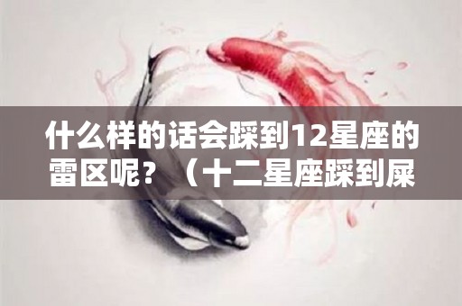 什么样的话会踩到12星座的雷区呢？（十二星座踩到屎的反应）