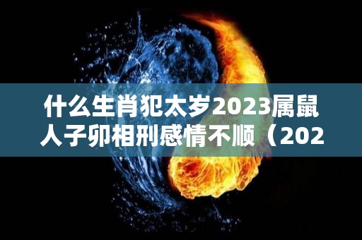 什么生肖犯太岁2023属鼠人子卯相刑感情不顺（2023年属鼠犯太岁吗）