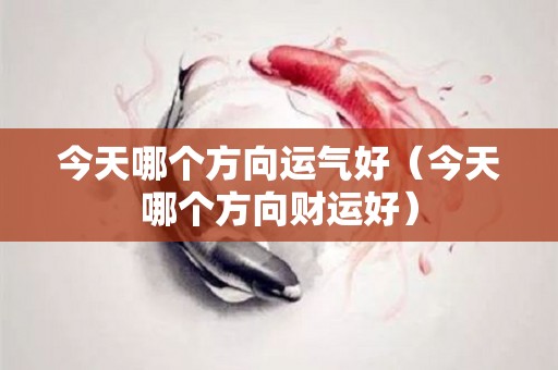 今天哪个方向运气好（今天哪个方向财运好）