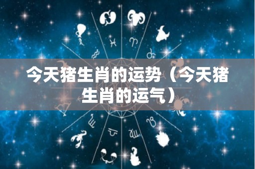 今天猪生肖的运势（今天猪生肖的运气）