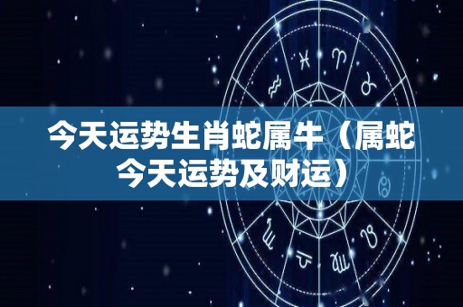 今天运势生肖蛇属牛（属蛇今天运势及财运）