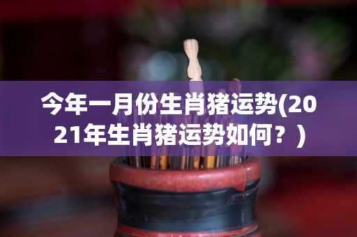 今年一月份生肖猪运势(2021年生肖猪运势如何？)