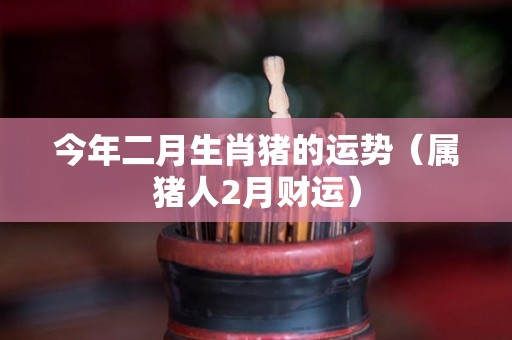 今年二月生肖猪的运势（属猪人2月财运）