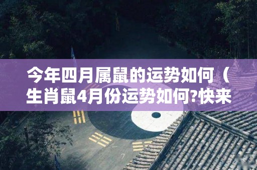 今年四月属鼠的运势如何（生肖鼠4月份运势如何?快来看看吧!）