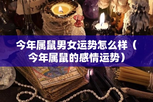今年属鼠男女运势怎么样（今年属鼠的感情运势）