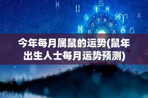 今年每月属鼠的运势(鼠年出生人士每月运势预测)