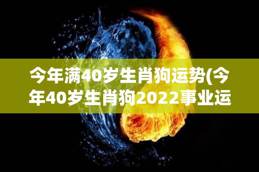 今年满40岁生肖狗运势(今年40岁生肖狗2022事业运势解析)