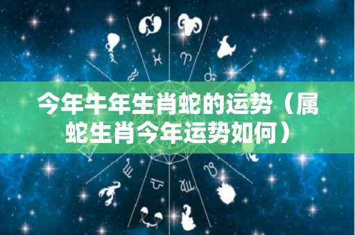 今年牛年生肖蛇的运势（属蛇生肖今年运势如何）
