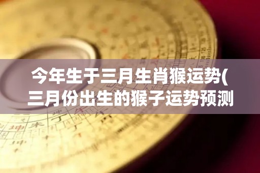 今年生于三月生肖猴运势(三月份出生的猴子运势预测)