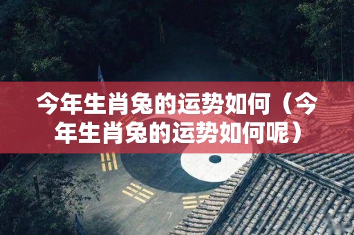 今年生肖兔的运势如何（今年生肖兔的运势如何呢）
