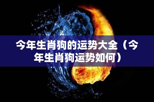 今年生肖狗的运势大全（今年生肖狗运势如何）