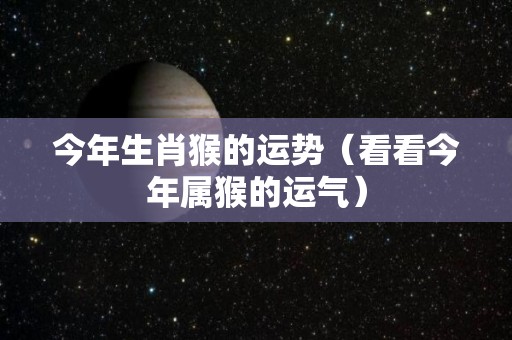 今年生肖猴的运势（看看今年属猴的运气）