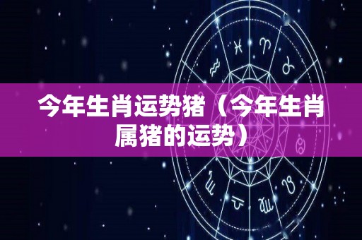 今年生肖运势猪（今年生肖属猪的运势）