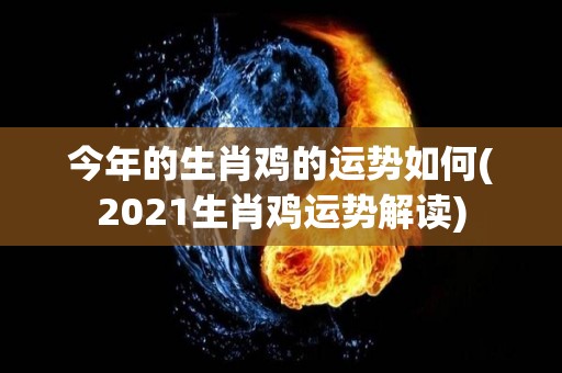 今年的生肖鸡的运势如何(2021生肖鸡运势解读)