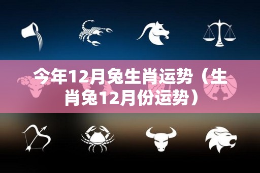 今年12月兔生肖运势（生肖兔12月份运势）