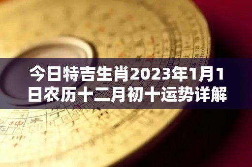 今日特吉生肖2023年1月1日农历十二月初十运势详解（2023年1月1日出生）