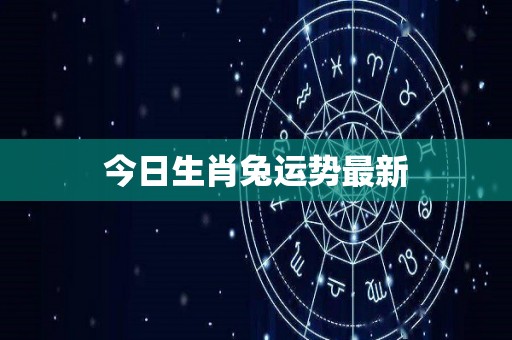 今日生肖兔运势最新