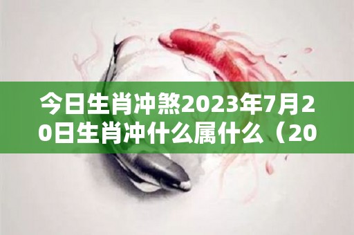 今日生肖冲煞2023年7月20日生肖冲什么属什么（2023年7月20号）