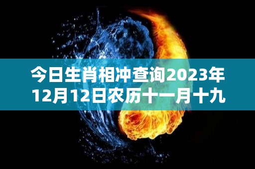 今日生肖相冲查询2023年12月12日农历十一月十九（今日生肖运势2020年12月12日）