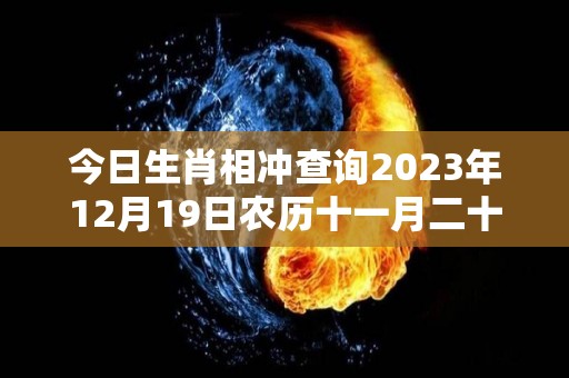 今日生肖相冲查询2023年12月19日农历十一月二十六（今天十二生肖相冲日）