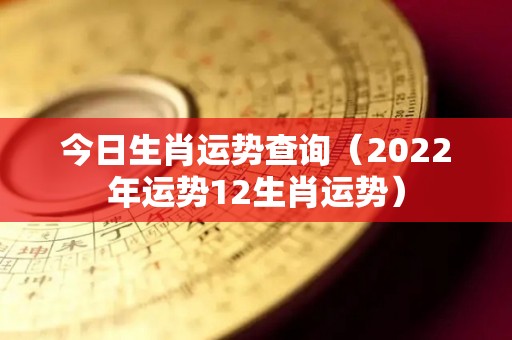 今日生肖运势查询（2022年运势12生肖运势）